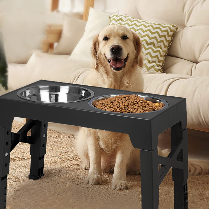 Royal Canin Food Medium - BOOTEELY 높이 조절 가능한 개 피더