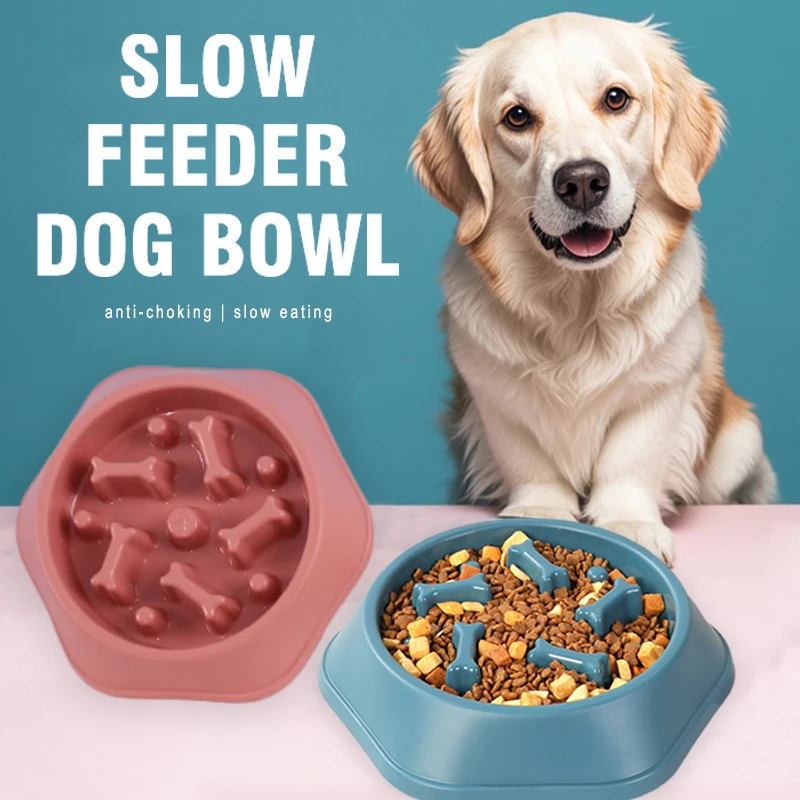 새로운 슬로우 피더 강아지 식기, 질식 방지 강아지 사 - Royal Canin Food Medium 리뷰 및 가격