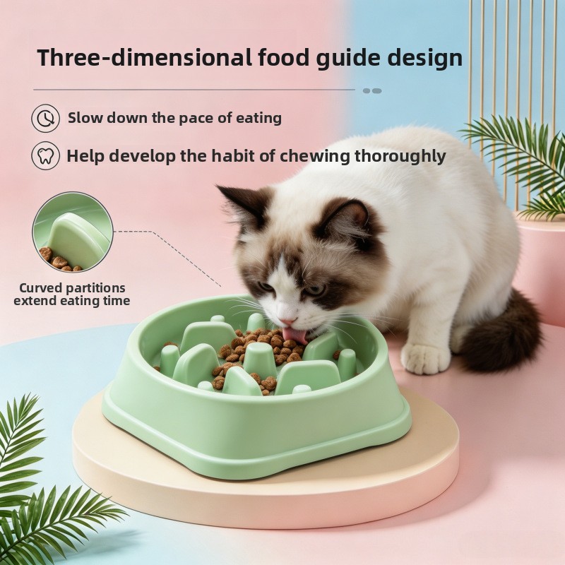 1/3개 논슬립 슬로우 피더 강아지 식기 대용량 질식  - Royal Canin Food Medium 리뷰 및 가격