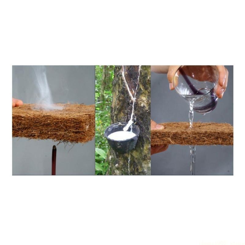 QX2E 테라리움 용 파충류 침구 매트 방수 Cocon - Substrate Coconut Fiber 리뷰 및 가격