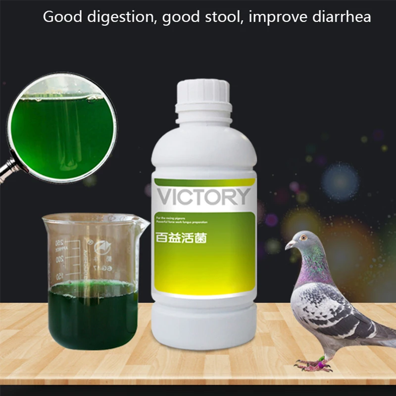 500ml 육류 비둘기 경주 비둘기 통행비둘기 설사 녹 - Vitamin D3 Reptile 리뷰 및 가격