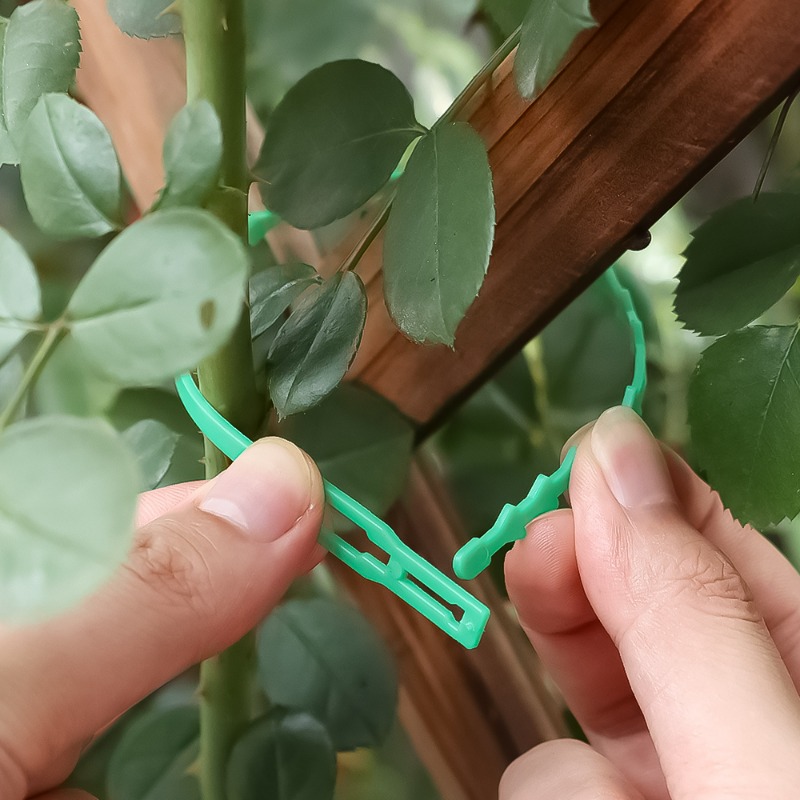 재사용 가능한 도매용 식물 고정 지퍼 타이, 조절 가능 - Vine Climbing Plastic 리뷰 및 가격