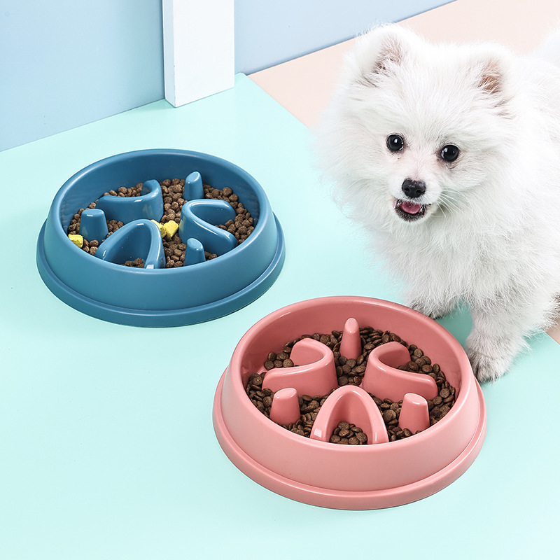 건강한 강아지를 위한 슬로우 급식기, 질식 방지 강아지 - Royal Canin Food Medium 리뷰 및 가격