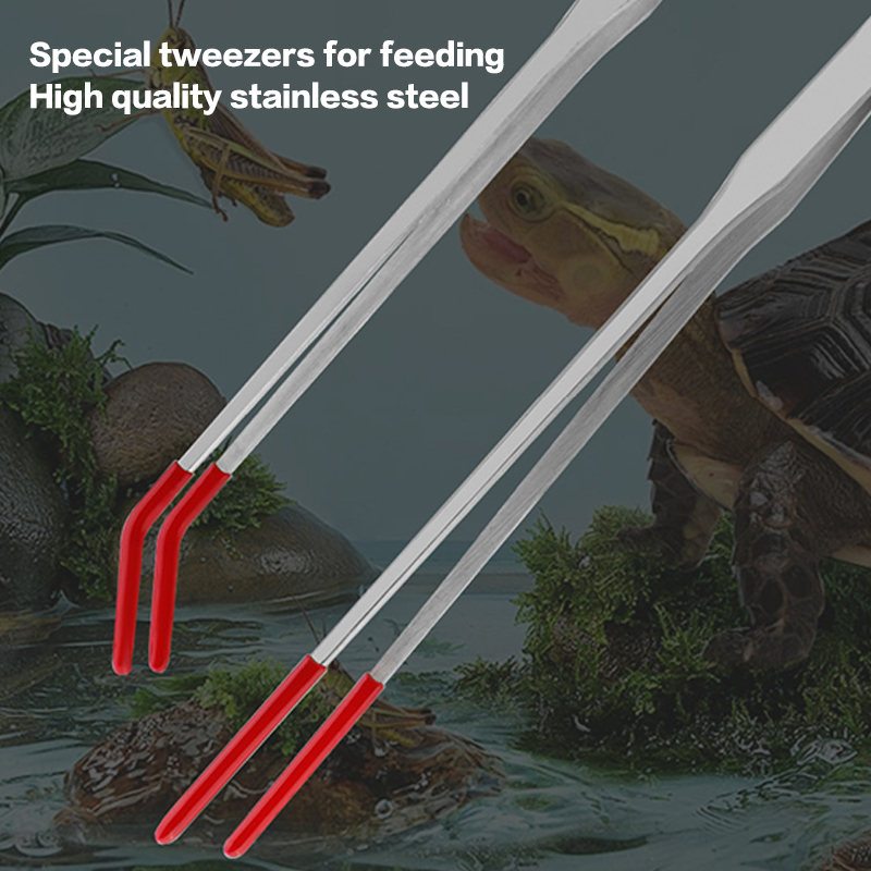 고무 팁이 있는 파충류 먹이주기 집게, 스테인리스 스틸 - Feeding Tong Stainless 리뷰 및 가격