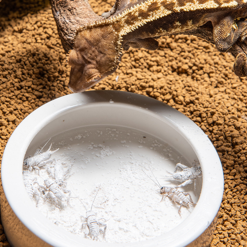 SuperRep Reptile Calcium 프로비타민 - Vitamin D3 Reptile 리뷰 및 가격