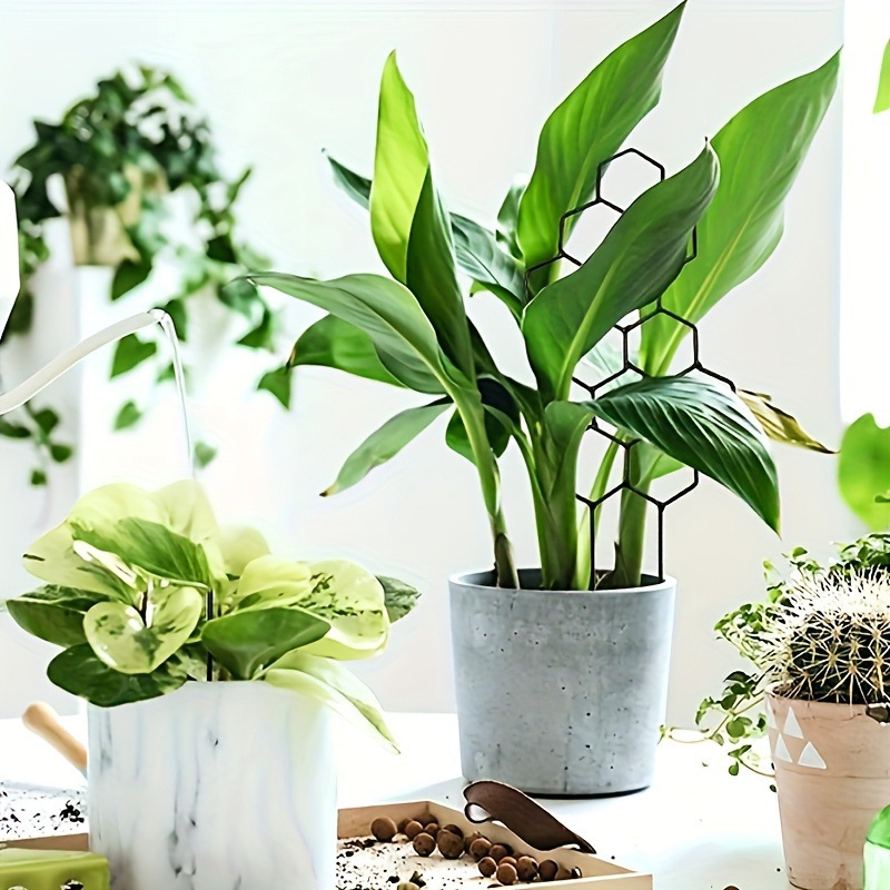 1PC 벌집형 디자인 식물 지지대, 화분에 심은 덩굴식 - Vine Climbing Plastic 리뷰 및 가격